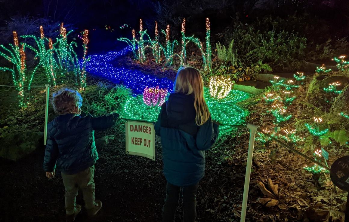 Garden d’Lights Returns to Bellevue Botanical Garden for 2022 ParentMap